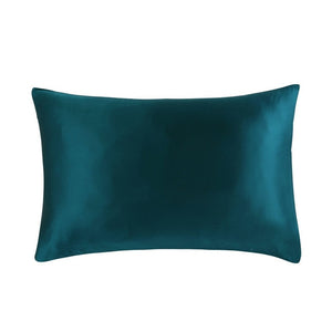 1 Pair 100% Mulberry Silk Pillowcase with Hidden Zipper.  we love these for our hair and skin :)